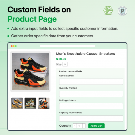 Custom Fields on Product Page